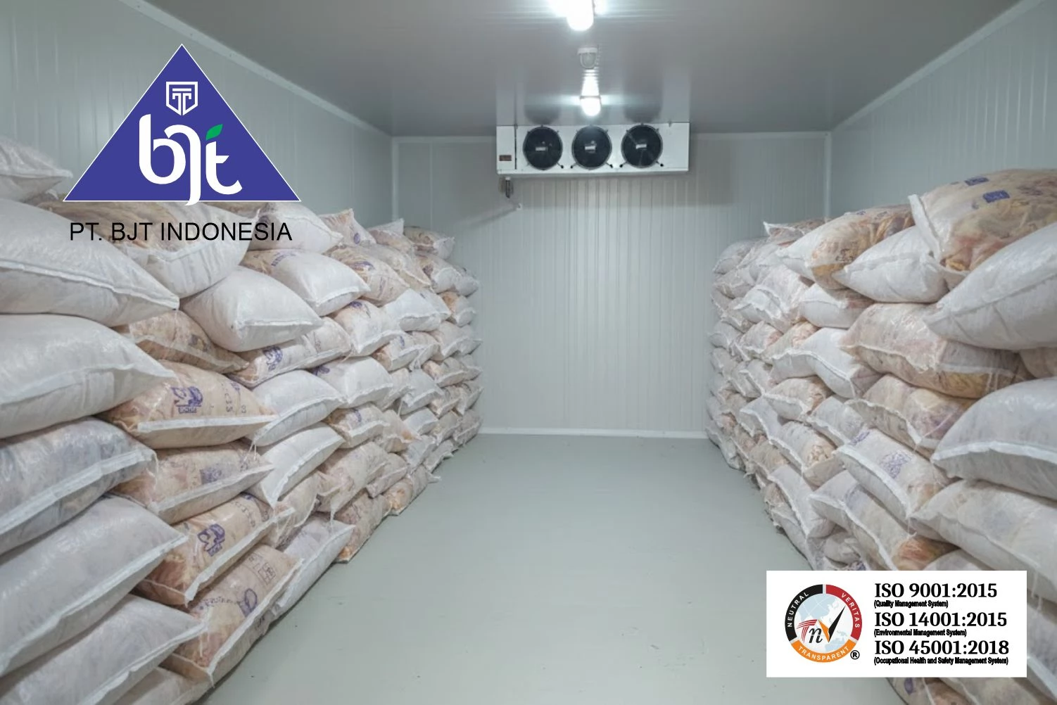 Berapa Harga Cold Storage? Faktor-Faktor yang Mempengaruhi Biaya